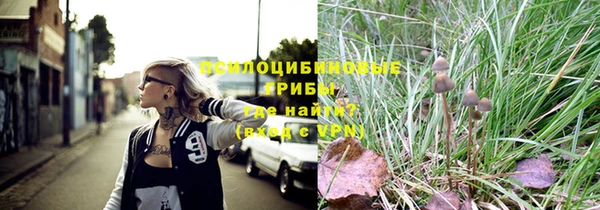 эйфоретик Алексеевка