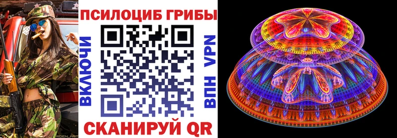 где продают Катайск Галлюциногенные грибы Cubensis