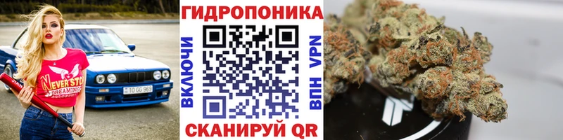 наркошоп  Катайск  Бошки Шишки Amnesia 